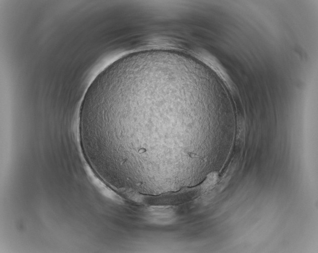X0000112531439200908171411