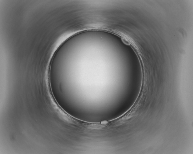 X0000112531440200908171411