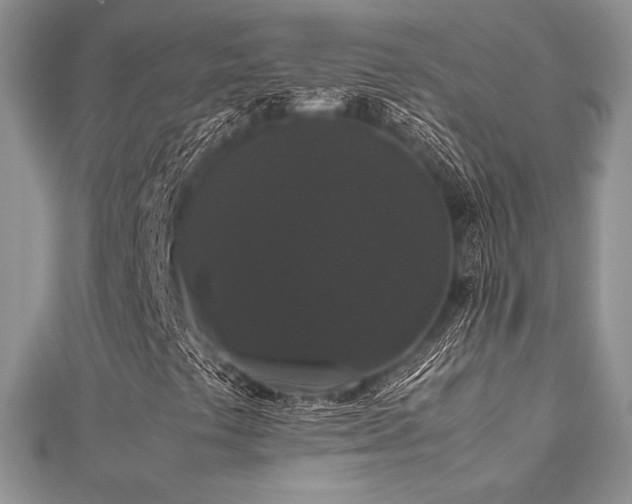 X0000112531441200908171410