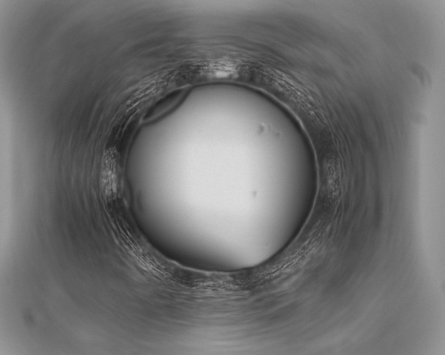 X0000112531442200908171410