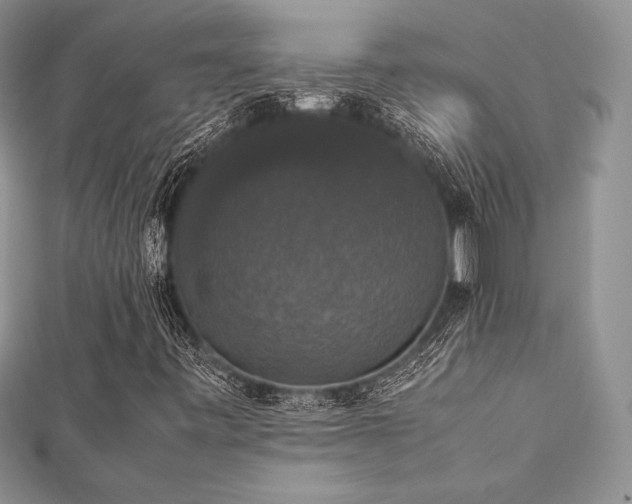 X0000112531443200908171410