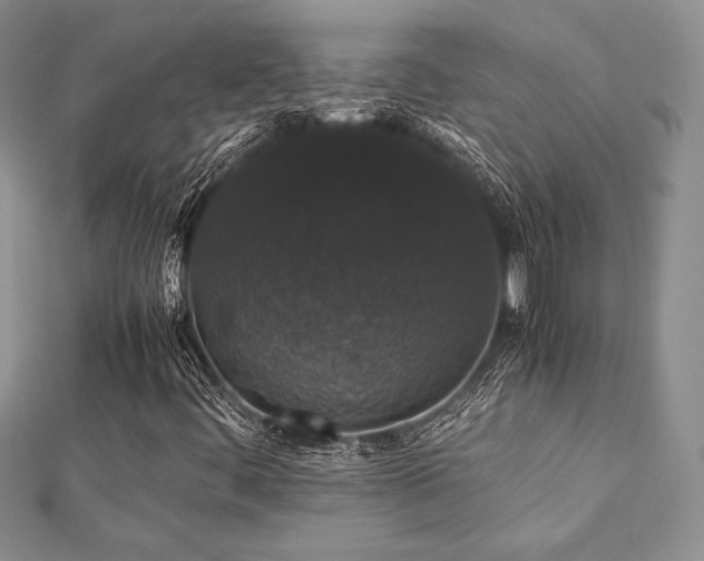 X0000112531444200908171410