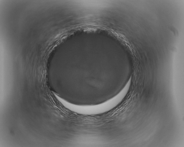 X0000112531445200908171410