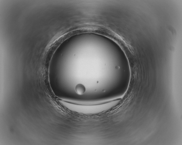 X0000112531448200908171410