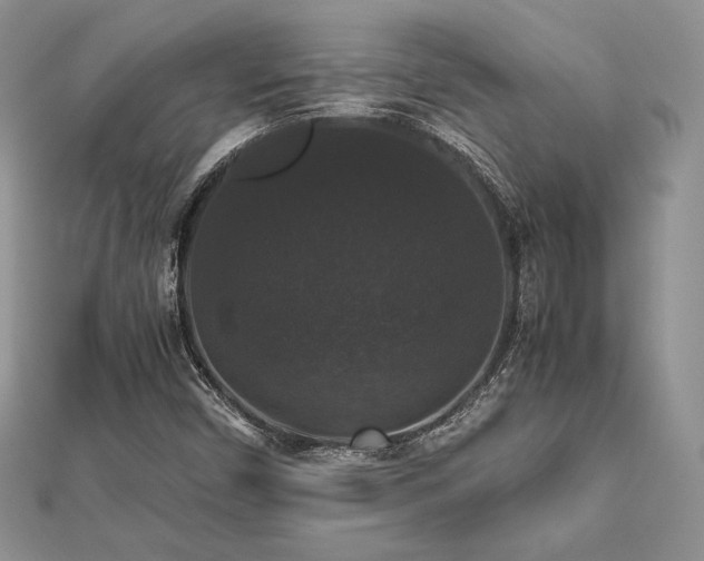 X0000112531450200908171410