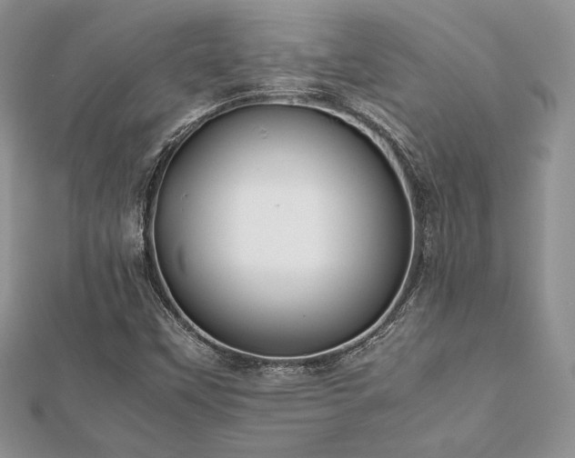 X0000112531451200908171410