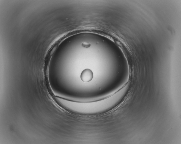 X0000112531452200908171410