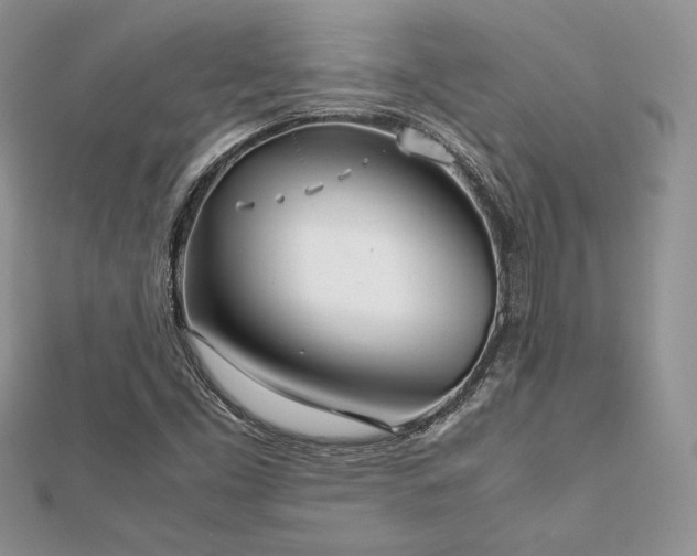 X0000112531453200908171410