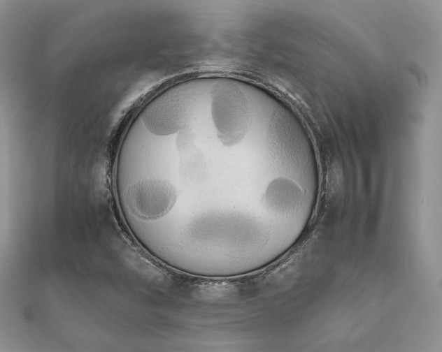 X0000112531454200908171410