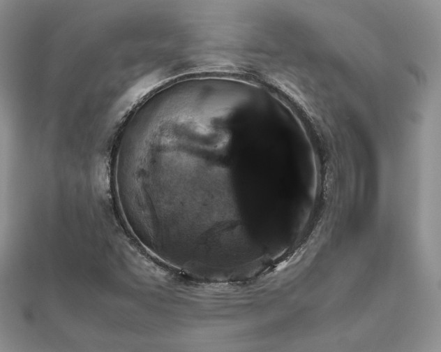 X0000112531455200908171410