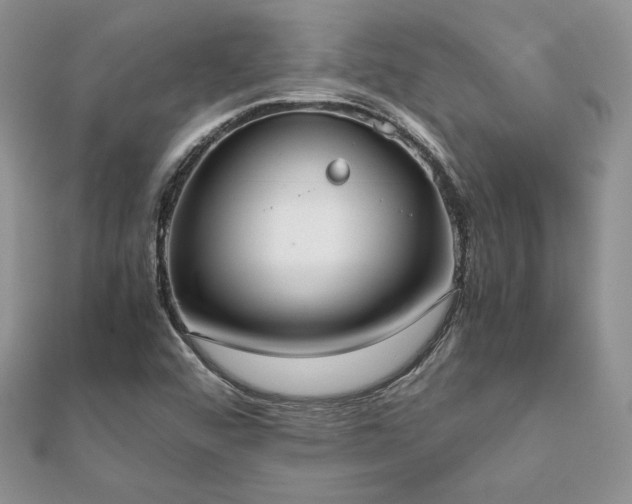 X0000112531456200908171410