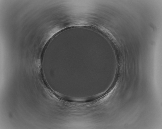 X0000112531457200908171410