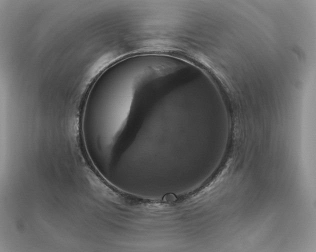 X0000112531459200908171410