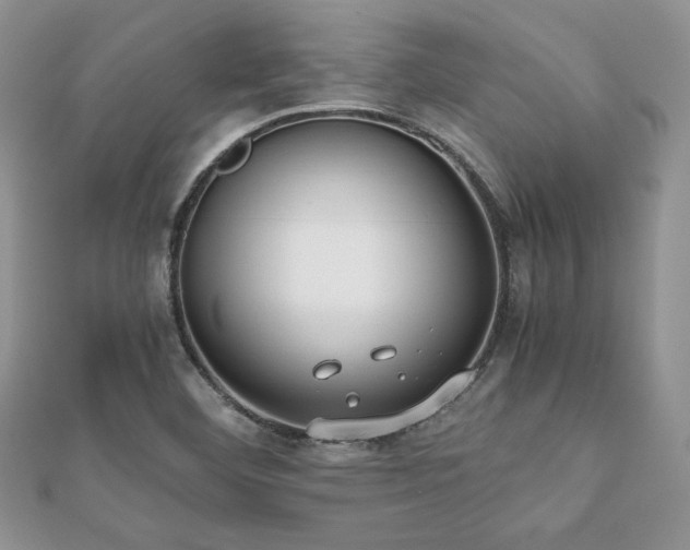 X0000112531460200908171410