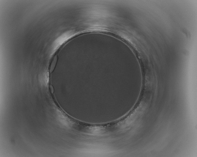 X0000112531461200908171410