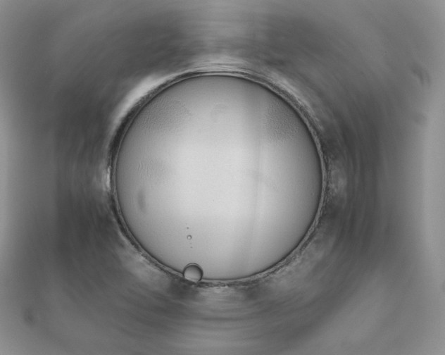 X0000112531462200908171410