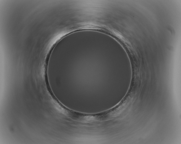 X0000112531463200908171410