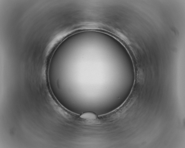X0000112531464200908171410