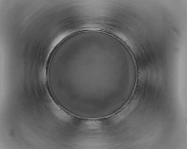 X0000112531466200908171410