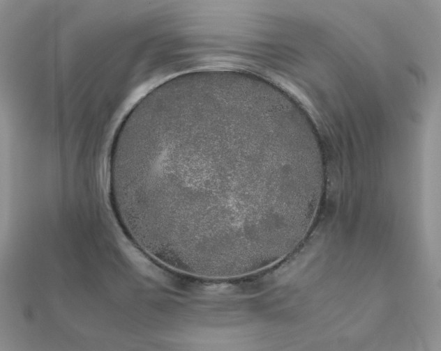 X0000112531467200908171410