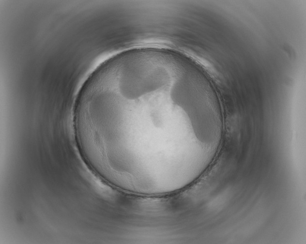 X0000112531470200908171410