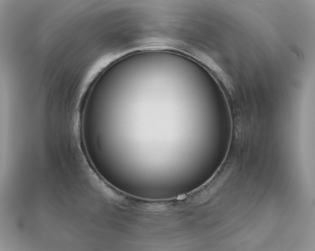 X0000112531472200908171410