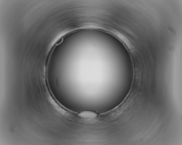 X0000112531476200908171410
