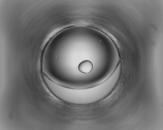 X0000112531477200908171410