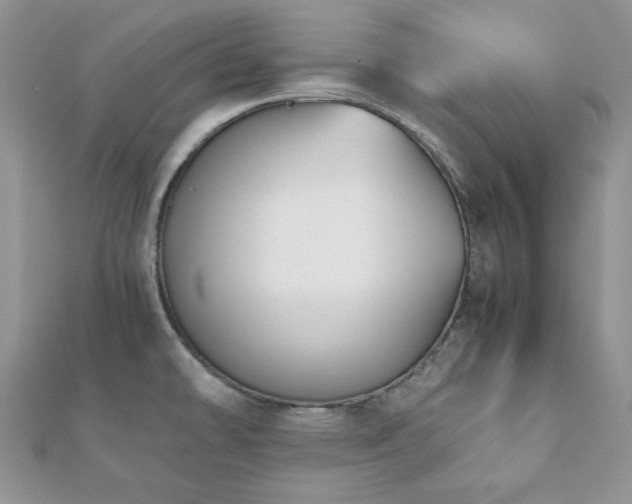 X0000112531478200908171410