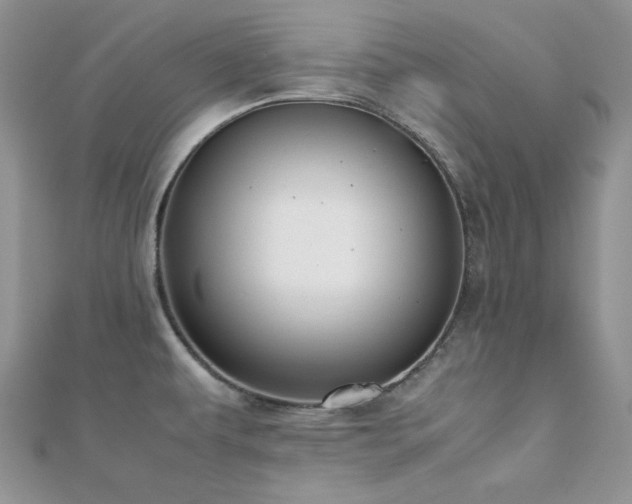 X0000112531479200908171410