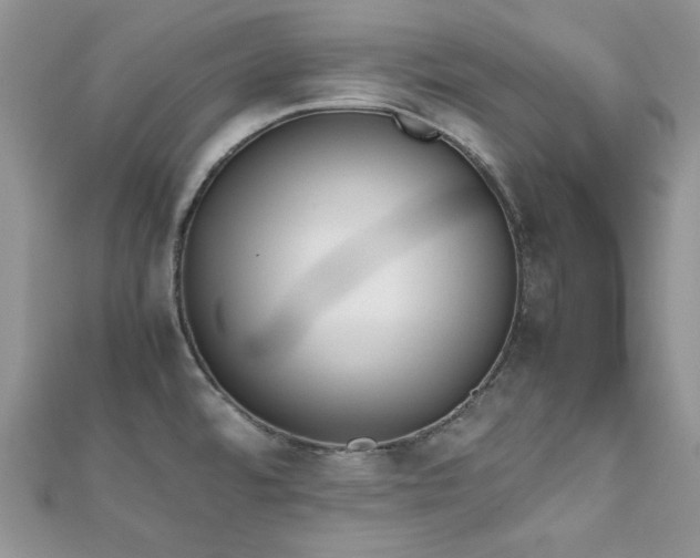 X0000112531480200908171410