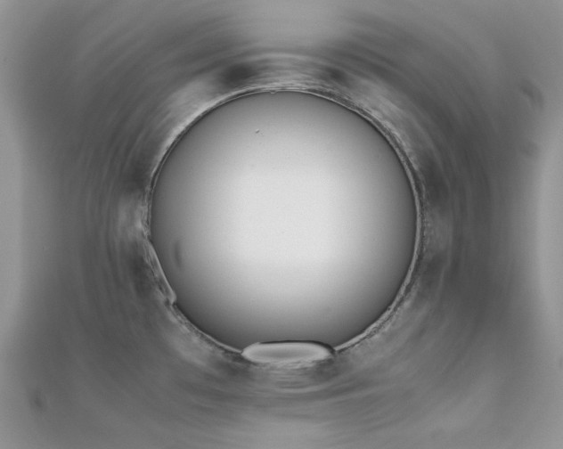 X0000112531481200908171410