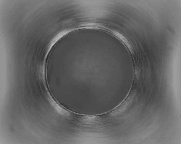 X0000112531482200908171410
