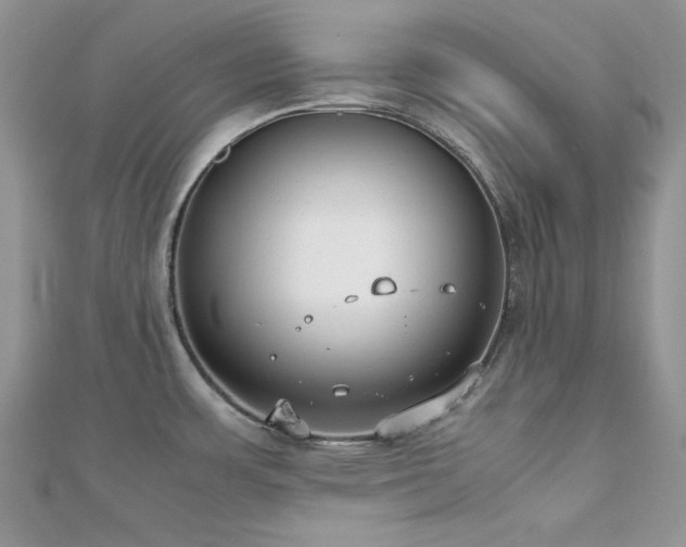 X0000112531483200908171410