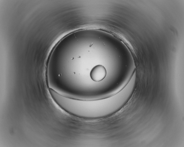 X0000112531484200908171410