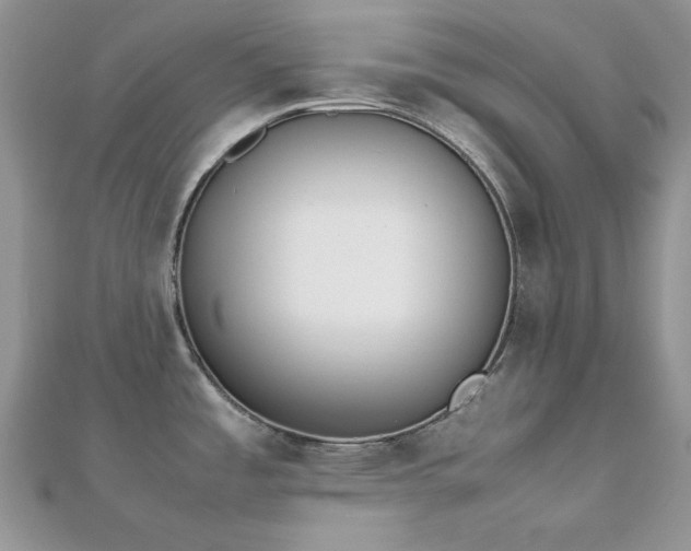 X0000112531485200908171410