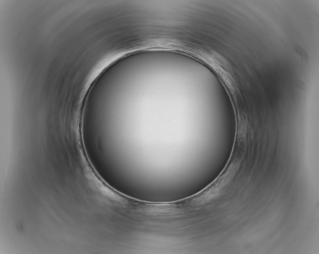 X0000112531486200908171410