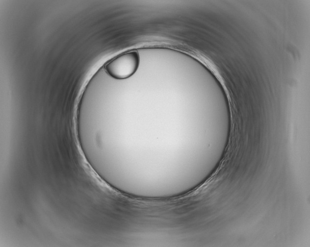 X0000112531488200908171410