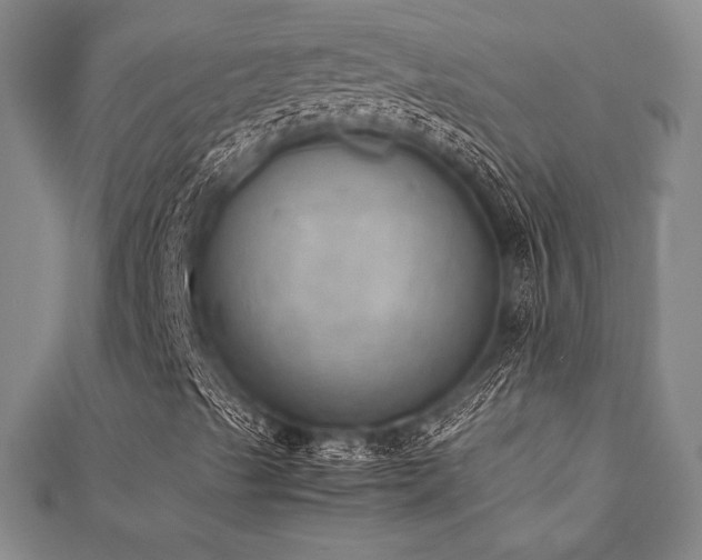 X0000112531489200908171409