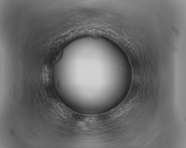 X0000112531490200908171409