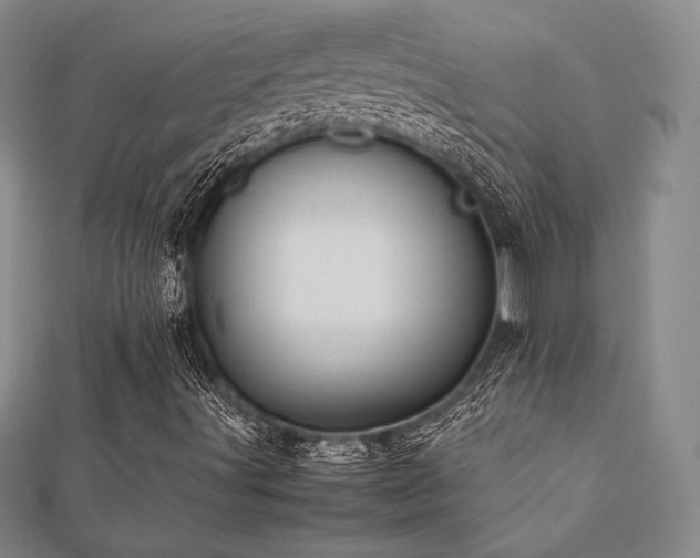X0000112531491200908171409