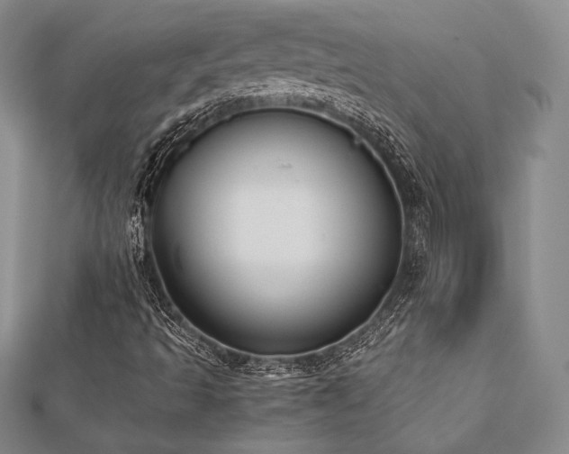 X0000112531493200908171409