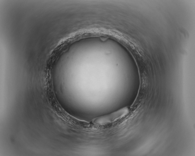 X0000112531494200908171409