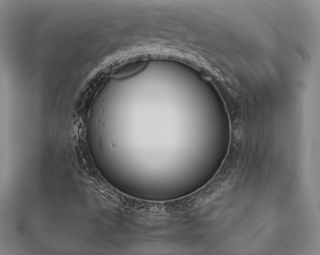 X0000112531495200908171409