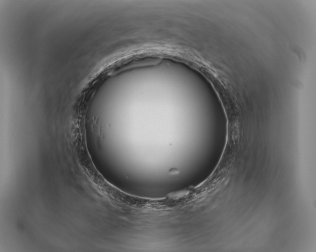 X0000112531496200908171409