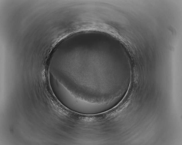 X0000112531497200908171409