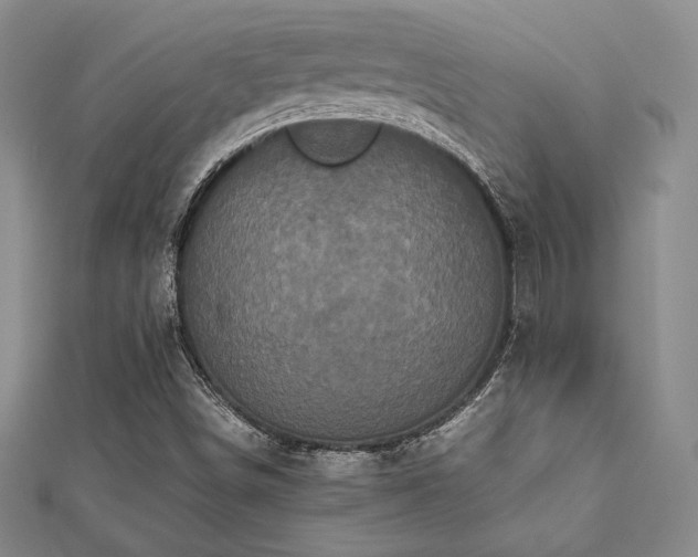 X0000112531498200908171409