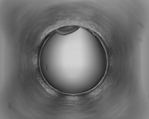 X0000112531499200908171409