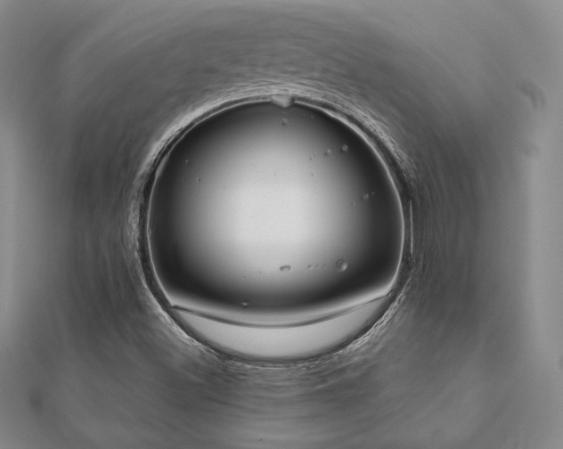 X0000112531500200908171409