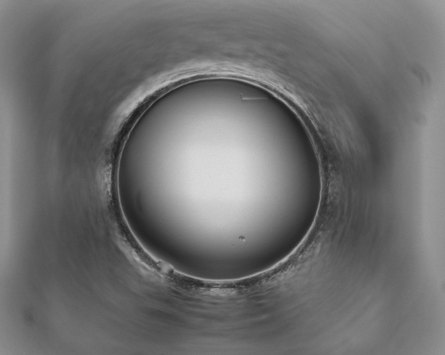 X0000112531503200908171409